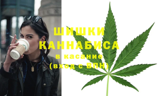 индика Бородино