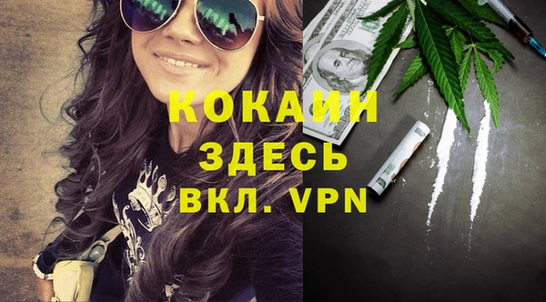 дурь Бронницы