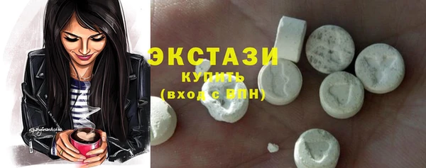 индика Бородино