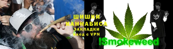 дурь Бронницы