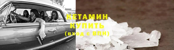 индика Бородино