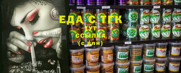 индика Бородино