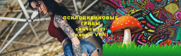 индика Бородино