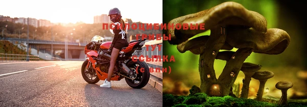 гидропоника Бугульма