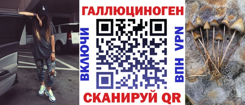 мега как войти  купить наркотики цена  Инза  Псилоцибиновые грибы мицелий 